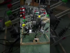 Interruptor de vacío exterior de 12 kV con certificación IEC