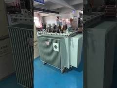 Transformador de potencia sumergido en aceite de tres fases de 11kv/800kVA