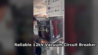 Presente el disyuntor de vacío interior de alto voltaje de 12 kV montado lateralmente 630A-1250A para usted