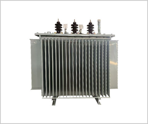Transformador de potencia sumergido en aceite de tres fases de 11kv/800kVA